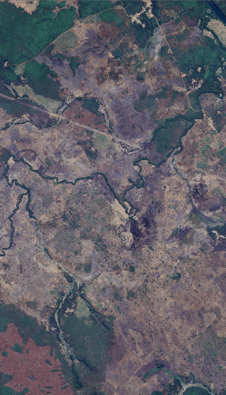 Carte d’une zone de projet Arboria